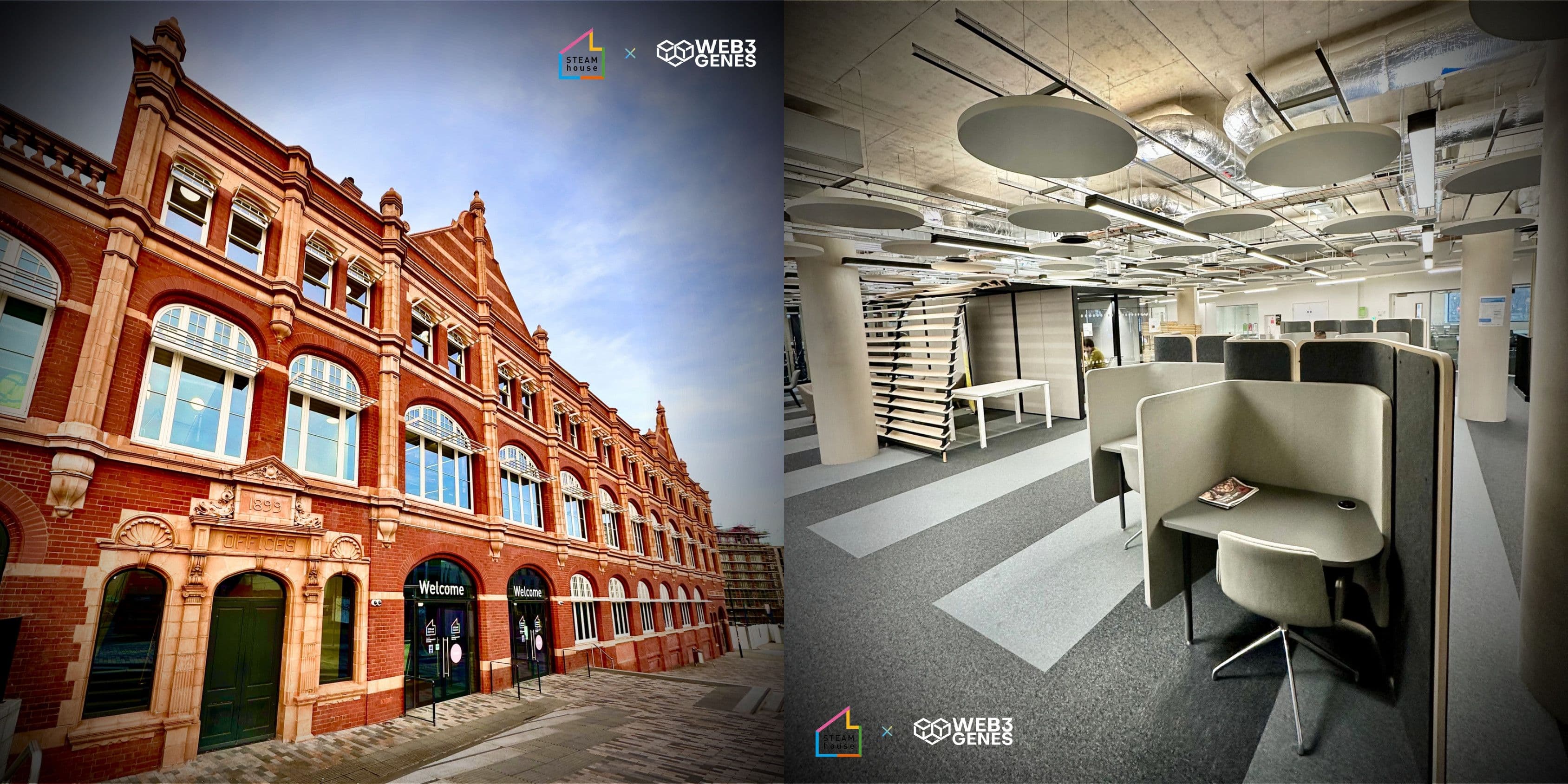 Accelerating Digital Growth with Web3genes at Steamhouse